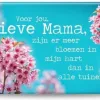 Miko Magneet - Mama bij Het Bakschip