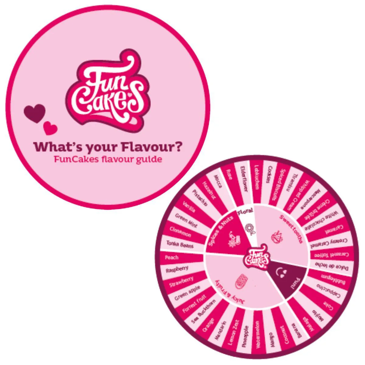 FunCakes - Flavour Disc bij Het Bakschip
